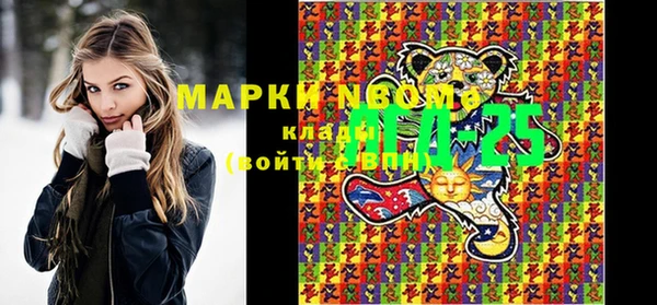 шишки Алексин