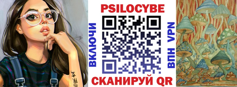 купить  сайты  Ясный  Галлюциногенные грибы MAGIC MUSHROOMS 