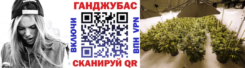 Конопля MAZAR  купить закладку  Ясный 